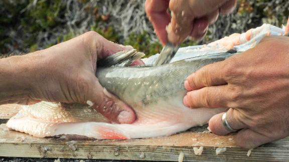 Randonnée et pêche au saumon dans l'est du Groenland