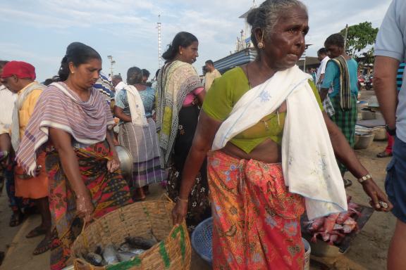 Découverte du transport de poissons dans un marché du nord du Kerala