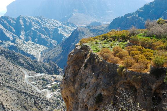 Découverte des cultures en terrasses du Jebel Akhdar