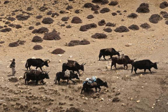 Entre Tangye et Tetang au Mustang au Népal