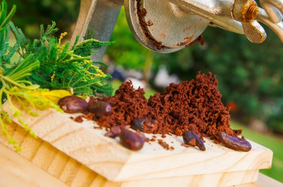 visite jardins créoles en Guadeloupe