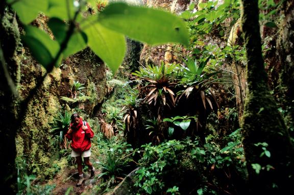 randonnée sommet du volcan la Soufrière Guadeloupe