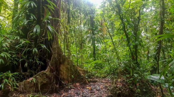 Trek en Guadeloupe