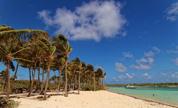 Excursion balnéaire à Petite Terre en Guadeloupe