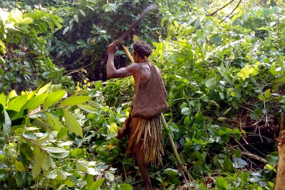 Trekking vers une femme papou burati travaillant dans la jungle près de la rivière Wapoga