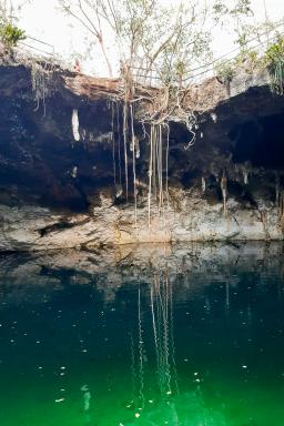 Découverte du Cenote Noh Mozon au Mexique
