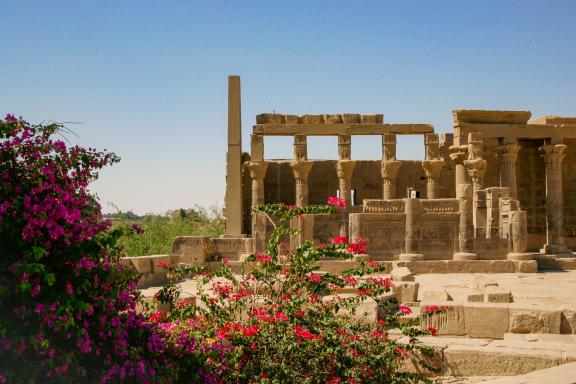 Découverte culturelle du Temple de Philæ  près d'Assouan