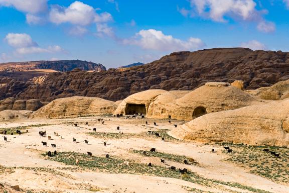 Randonnée vers les anciennes tombes nabatéennes devenues bergeries près de "Petite Pétra"