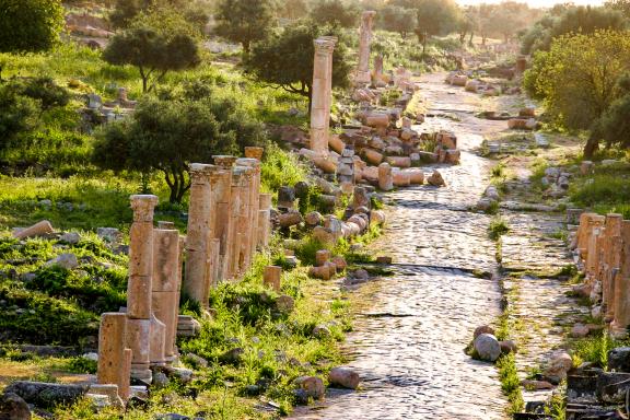 Randonnée dans les ruines de l'ancienne ville romaine et juive d'Umm Qaïs dans la province d'Irbid