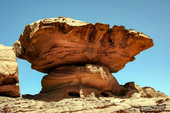 Randonnée dans le désert pour voir les champihons rocheux du Wadi Rum