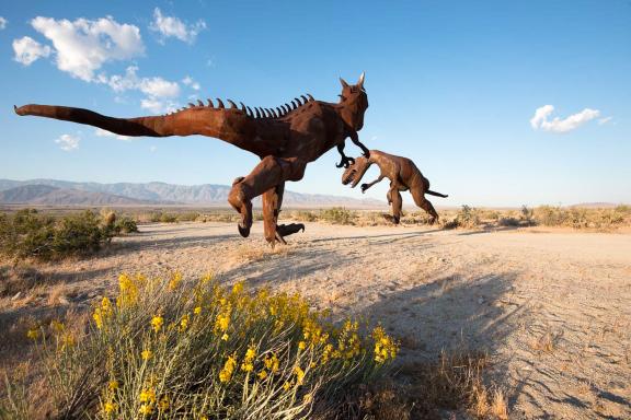 Trekking dans Anza Borrego Desert aux États-Unis