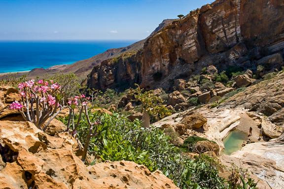 Comtemplation d'un paysage ouvrant sur la Mer d'Arabie à Homlil