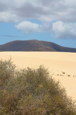 Trekking près d'une montagne dans le désert de Merzouga