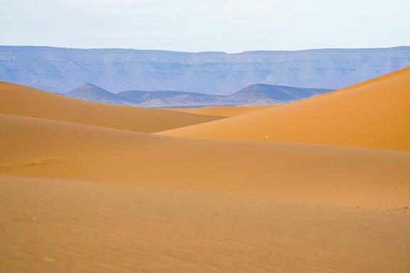 Trekking sur des dunes devant un massif dans la vallée du Drâa