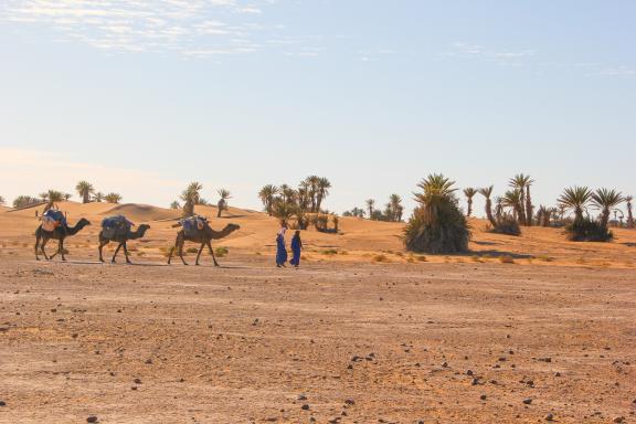 Randonnée avec un chamelier et ses chameaux à Merzouga