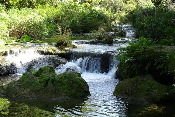 Randonnée sud de Mayari dans  la région des montagnes Nipe Cristal