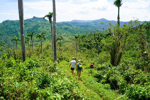 Trek à El Yunque National Park à Cuba