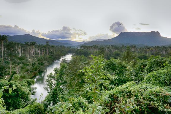 Trek au parc national El Yunque à Cuba