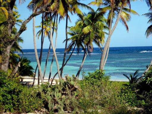 Excursion en mer côte Est en Martinique