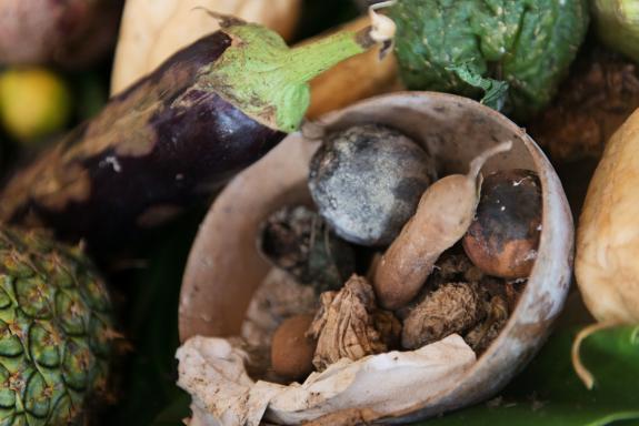 Visite habitations  agricoles en Martinique