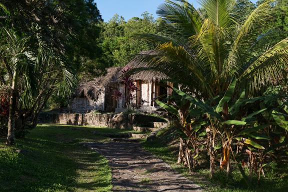 Randonnée sud Savane des esclaves en Martinique