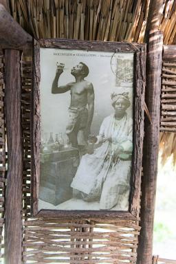 Visite de la Savane des esclaves en Martinique