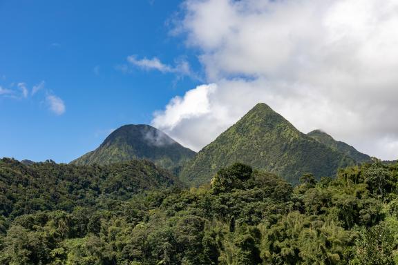 Découverte du Nord en Martinique