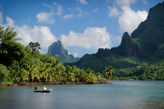 Excursion en bateau dans la baie de Cook à Moorea