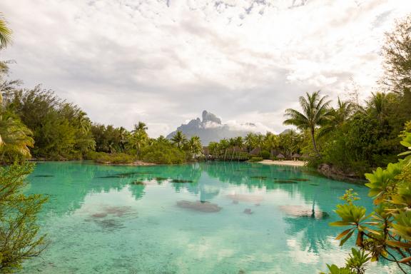 détente au lagon four seasons resort bora bora