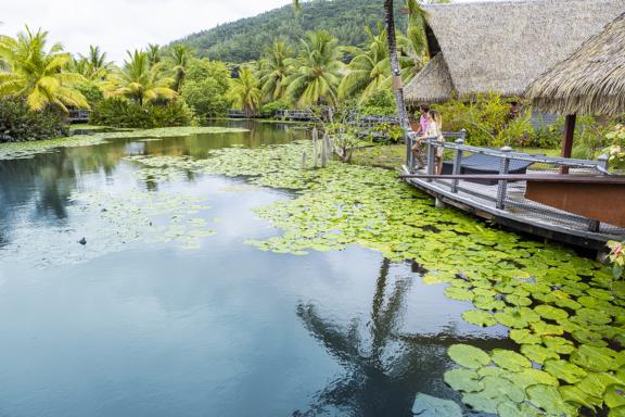 randonnée à Huahine