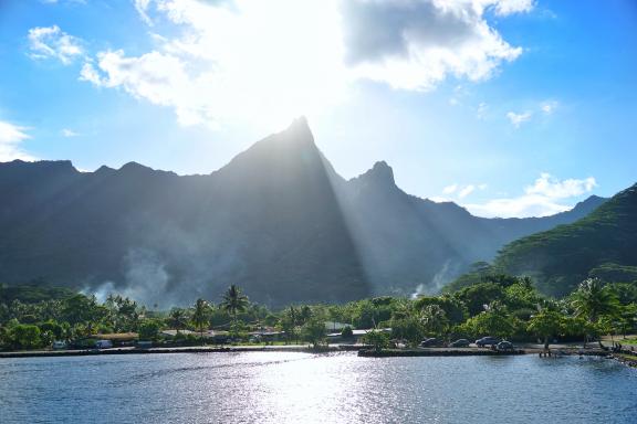 excursion à la Baie d'Opunohu à Moorea