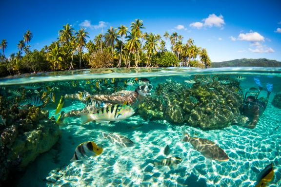 Snorkelling à Moorea