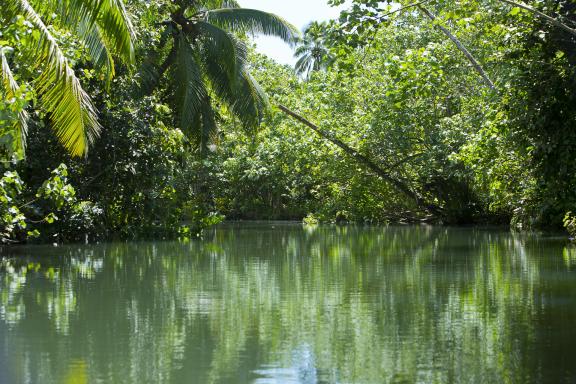 Excursion sur la rivière Faaroa à Raiatea