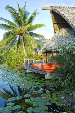 Séjour au maitai lapita village huahine