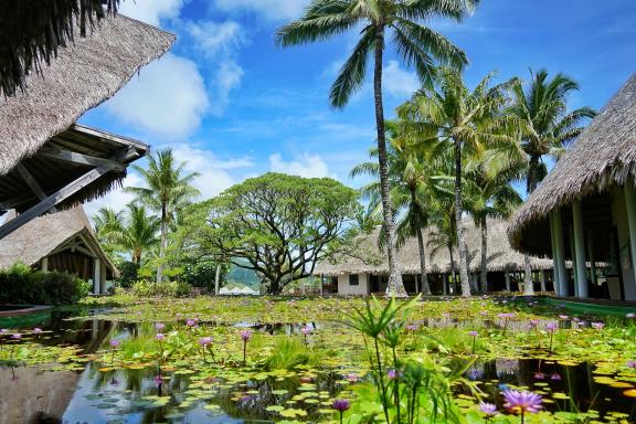 étang du Méridien Bora Bora