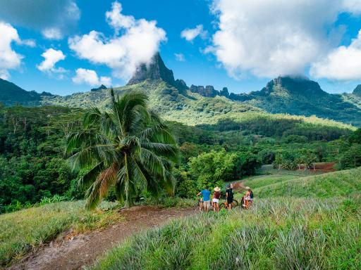 Randonnée le Col des 3 Pinus à Moorea