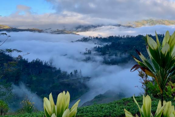 Randonnée à travers un paysage brumeux de montagne dans les Highlands de Papouasie-Nouvelle-Guinée