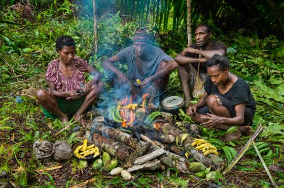 Trekking et campement dans la forêt des montagnes centrales de Papouasie-Nouvelle-Guinée