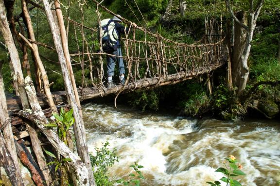 Trek vers un petit pont de montagne dans les Highlands de Papouasie-Nouvelle-Guinée