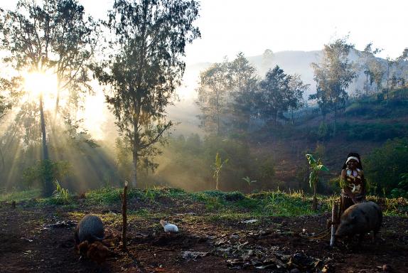 Randonnée à travers les montagnes de Simbai habitées par les papous kalam