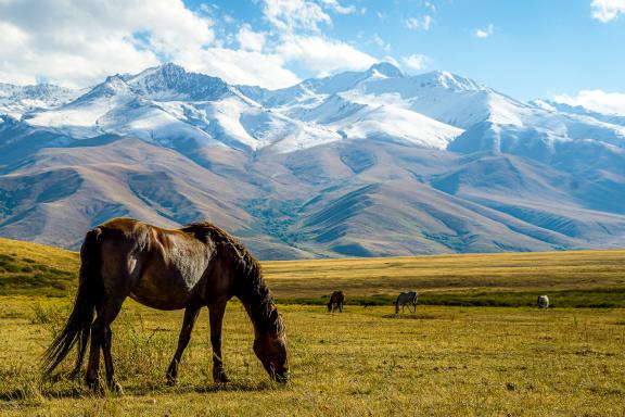 trek paysages vallée Suusamyr Kirghizistan