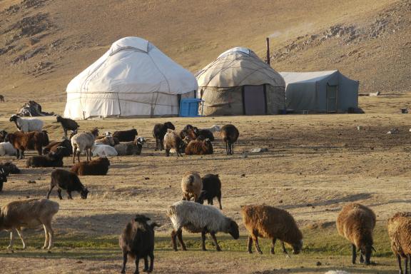 Camp de yourte à Song Kul