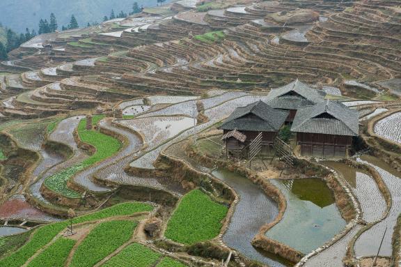Trek à travers les rizières en terrasses de Jiabang au Guizhou oriental