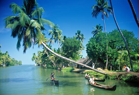Navigation à travers les Backwaters du Kerala dans la région d'Alleppey