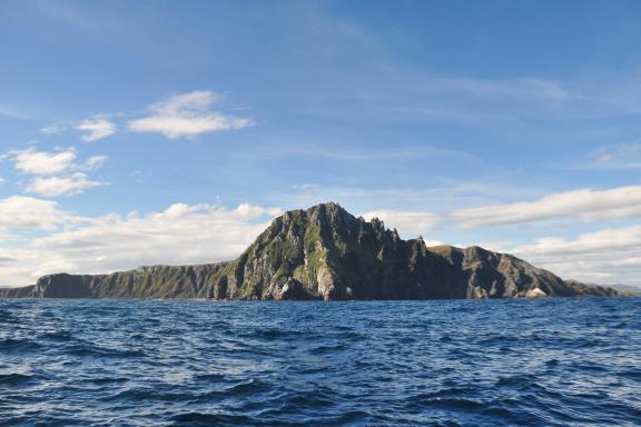 Croisière dans les canaux de Patagonie et Cap Horn