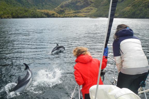 Croisière dans les canaux de Patagonie et Cap Horn