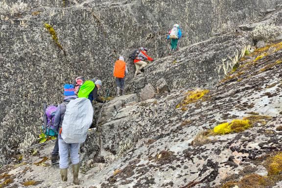 Voyage et montée au mont Stanley