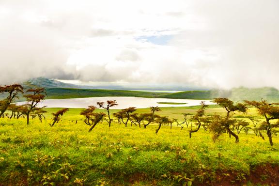 Voyage et paysages au Kenya