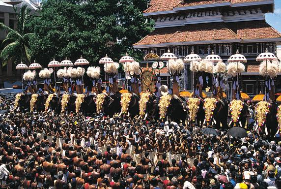 Immersion dans une cérémonie de Pooram au sud du Kerala