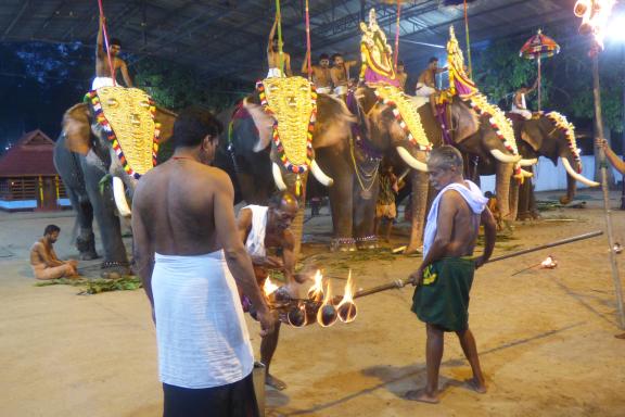 Trekking vers des éléphants dans une cérémonie de Pooram au sud du Kerala